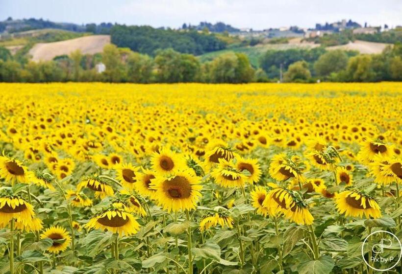 شقة غرفة واحدة مطلة على الحديقة, Agriturismo Tre Madonne