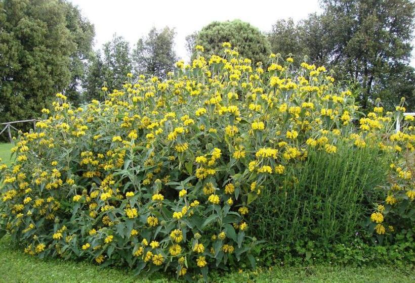 شقة غرفة واحدة مطلة على الحديقة, Agriturismo Tre Madonne