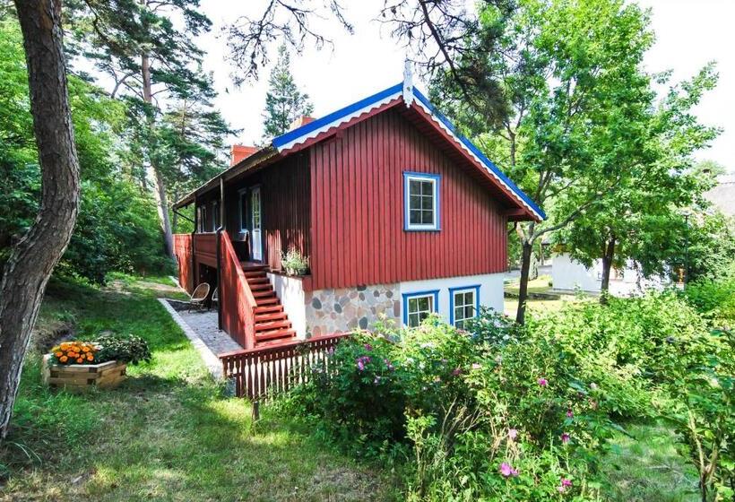 استودیوی استاندارد, Apartamentai Geliu Vila