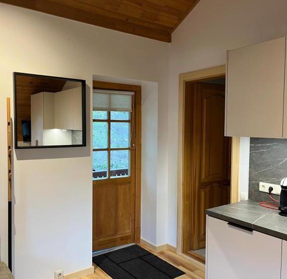 اتاق خانوادگی, Apartamentai Geliu Vila