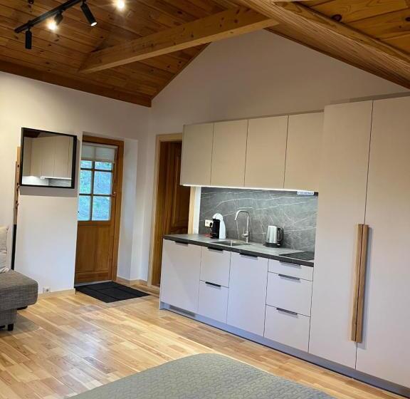 اتاق خانوادگی, Apartamentai Geliu Vila