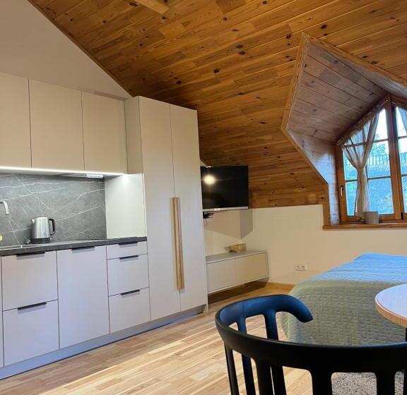 اتاق خانوادگی, Apartamentai Geliu Vila