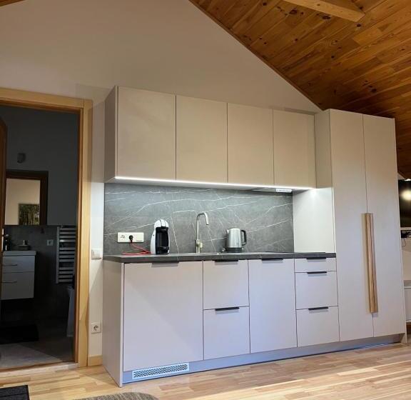 اتاق خانوادگی, Apartamentai Geliu Vila