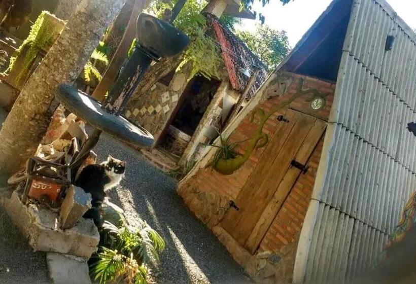 Номер Стандарт, Camping Nomadas