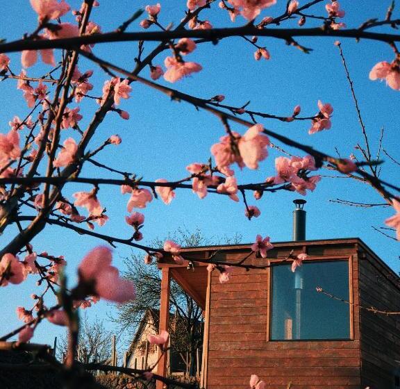 Студио Стандарт с Террасой, ég & Föld Borvendégház