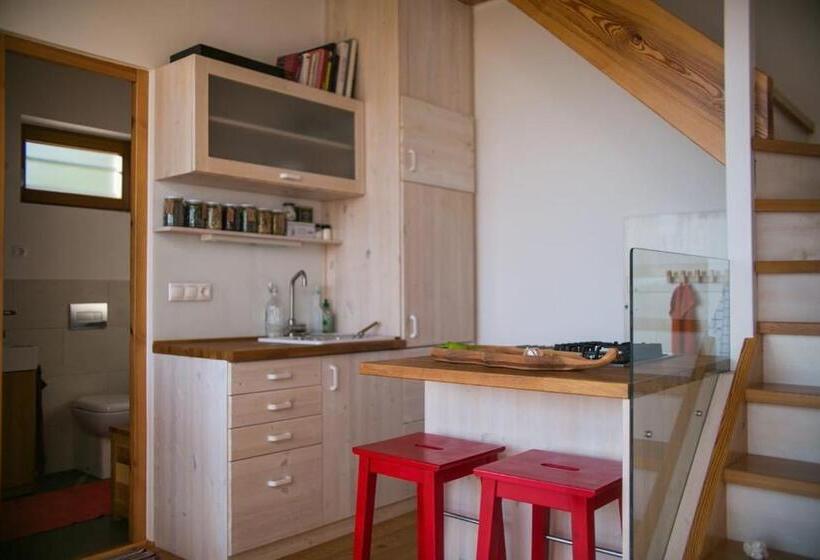 Студио Стандарт с Террасой, ég & Föld Borvendégház