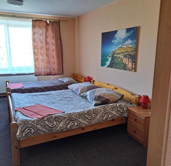 استودیو خانوادگی, The Bunker Hostel