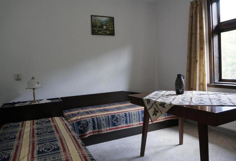 Дом 1 Спальня, Guest House Pepeliana