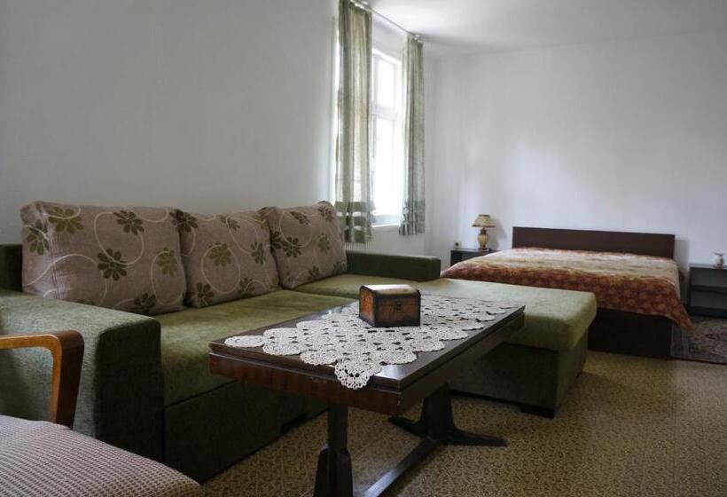 Четырехместный Номер Классик, Guest House Pepeliana