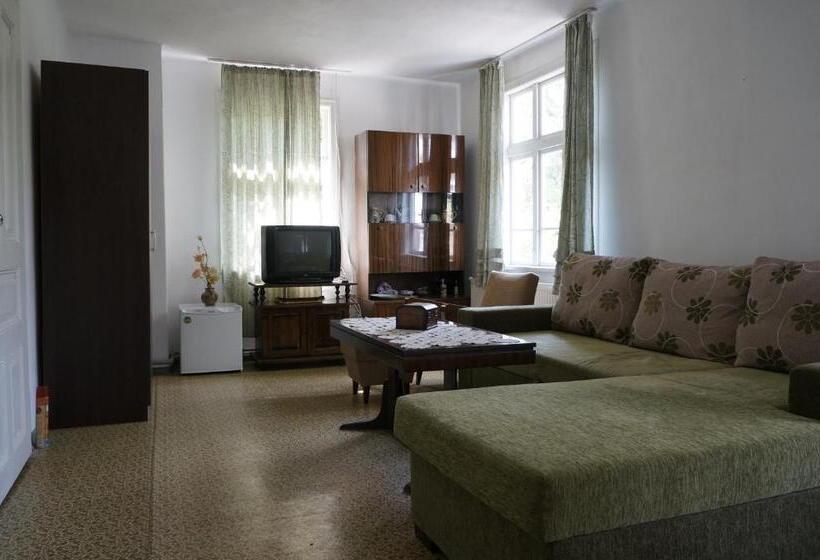 חדר קלאסי לארבעה, Guest House Pepeliana