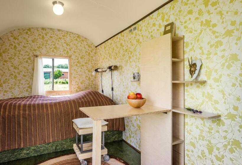 스탠다드 테라스 룸, Appleslounge