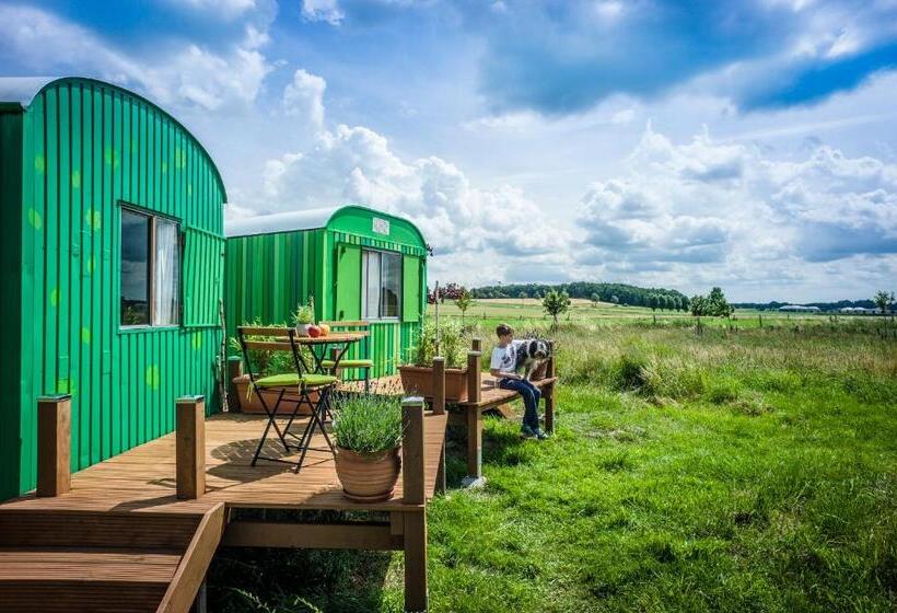 스탠다드 테라스 룸, Appleslounge