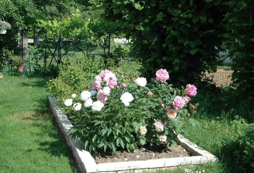 اتاق استاندارد, Le Jardin De Roses Dominique Loreau