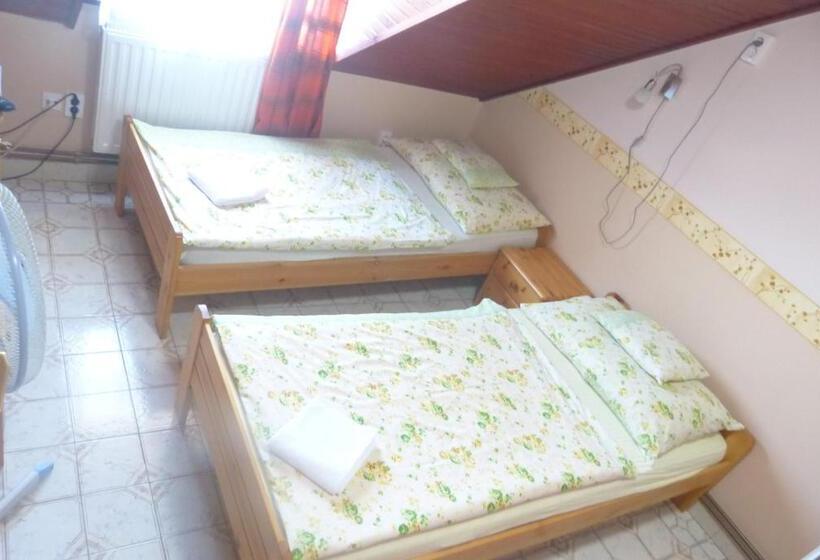 Номер Стандарт, Família Panzió