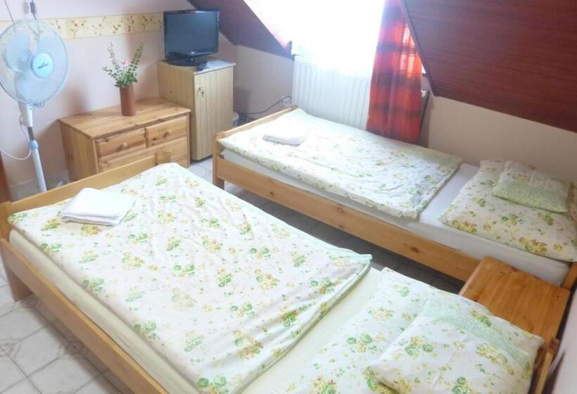 Номер Стандарт, Família Panzió