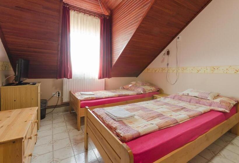 Номер Стандарт, Família Panzió