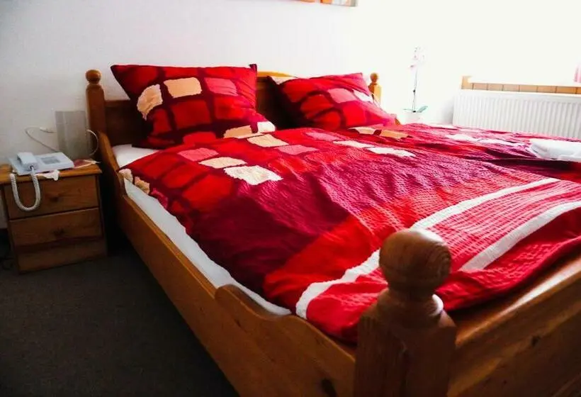 Standard-huone, Pension Zur Wartburg