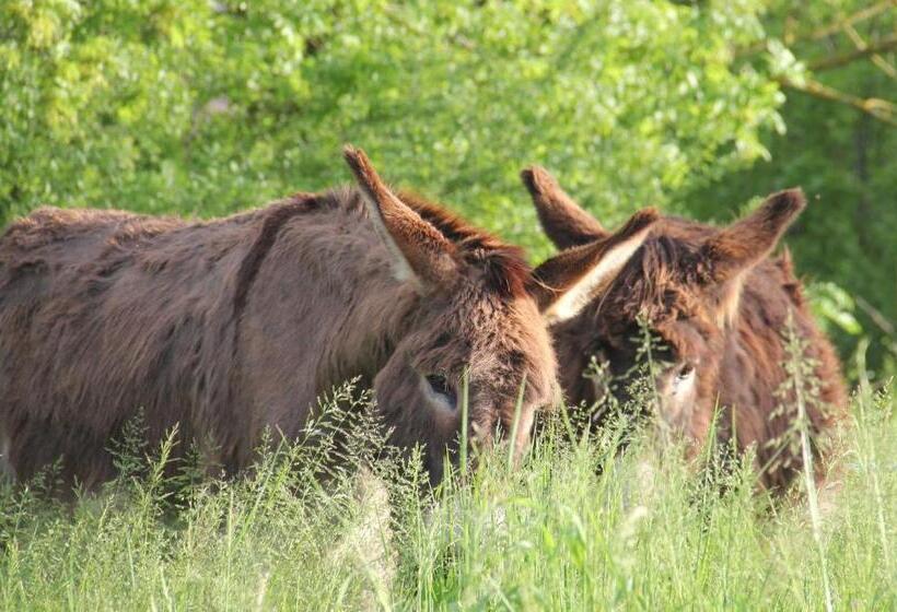 Номер Стандарт, Gites&chambres D Hôtes Les Granges Du Fournel