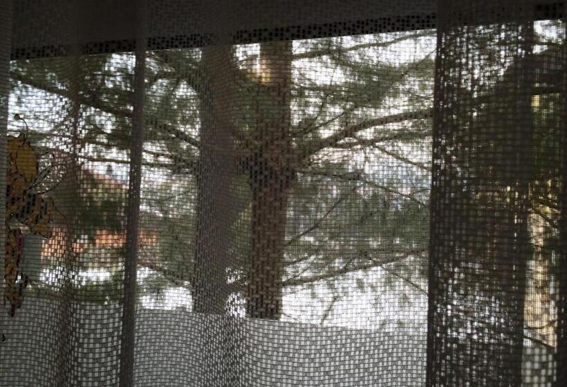 استودیوی استاندارد, Tourist Farm šalamun