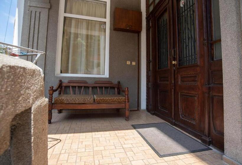 スタンダードスタジオ, Art Studios Elsor