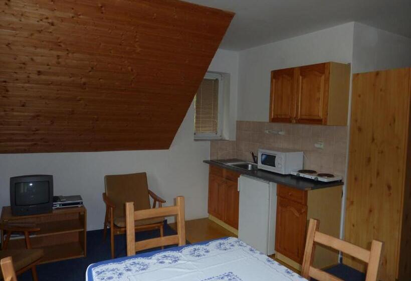 استودیوی استاندارد, Niky