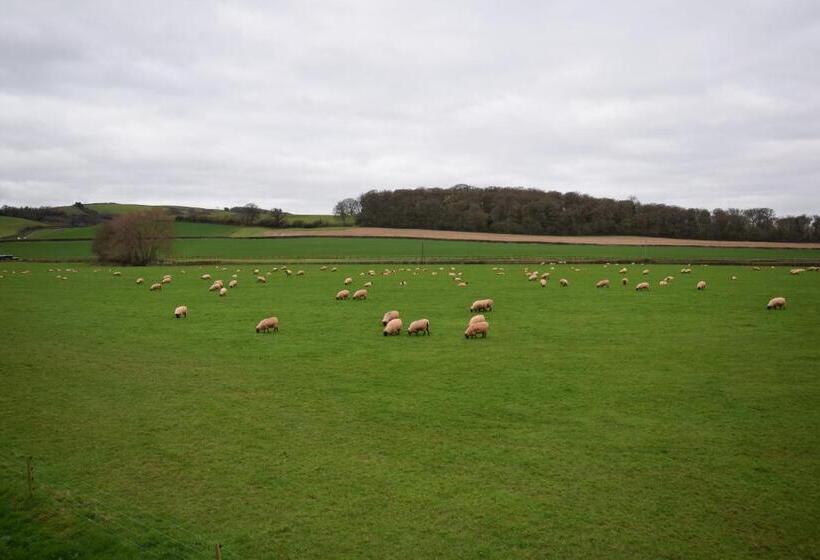 חדר משפחתי, Bournestream