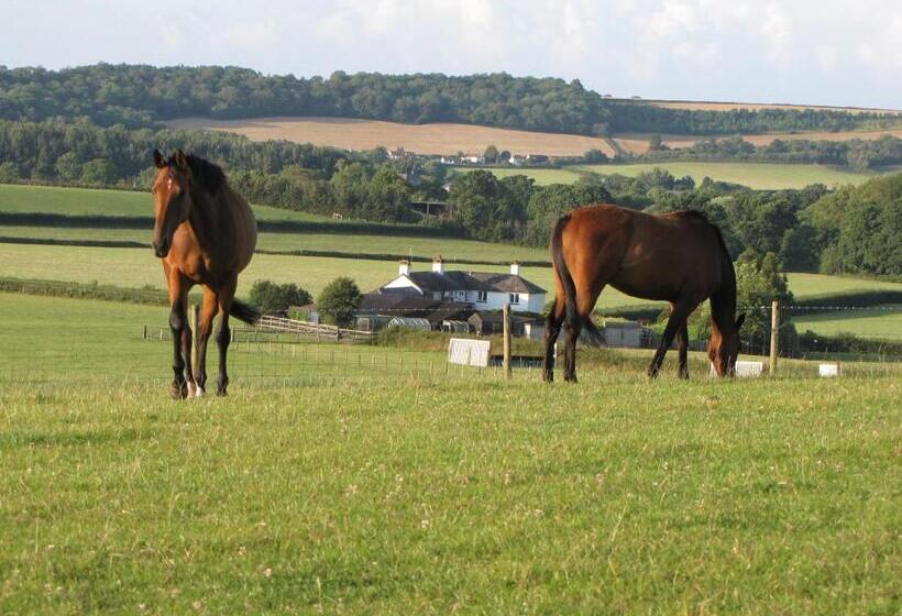 חדר משפחתי, Bournestream