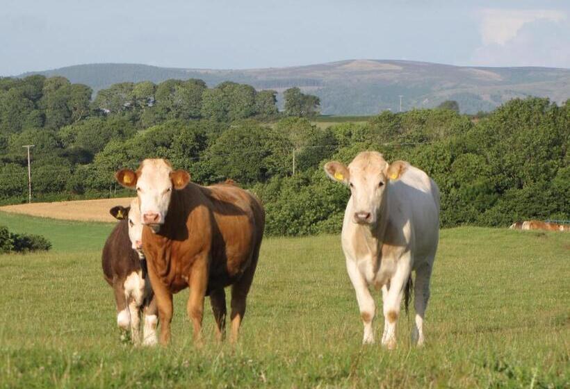 חדר משפחתי, Bournestream