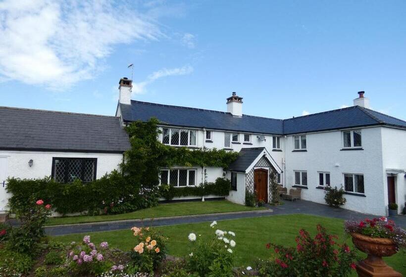 חדר משפחתי, Bournestream