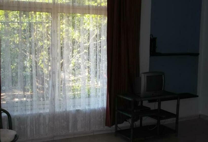 غرفة قياسية, Solimarina