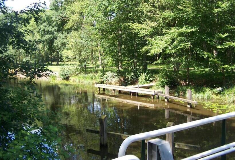 آپارتمان 1 خوابه همکف, T Ossenschot