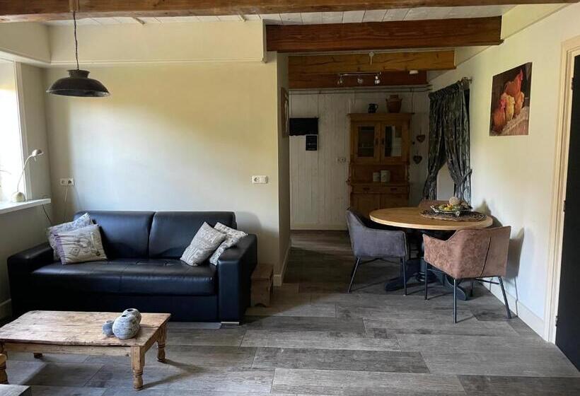 آپارتمان 1 خوابه همکف, T Ossenschot