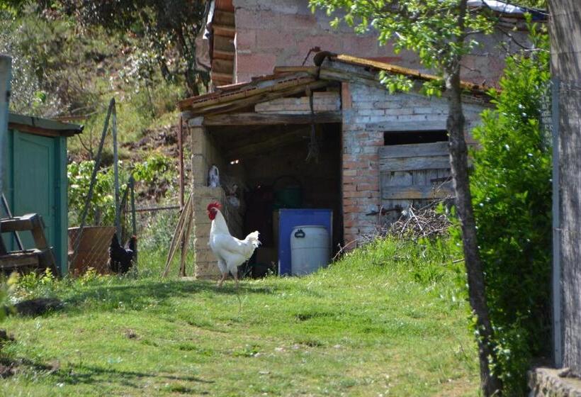 غرفة ديلوكس, Affittacamere La Fornace