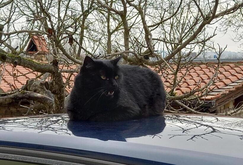 غرفة ديلوكس, Affittacamere La Fornace