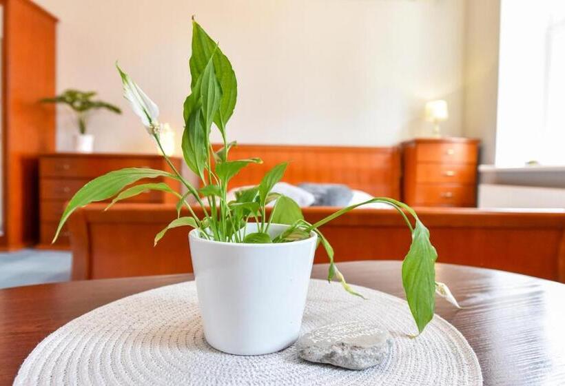 اتاق سوپریور, Jugend With Self Check In