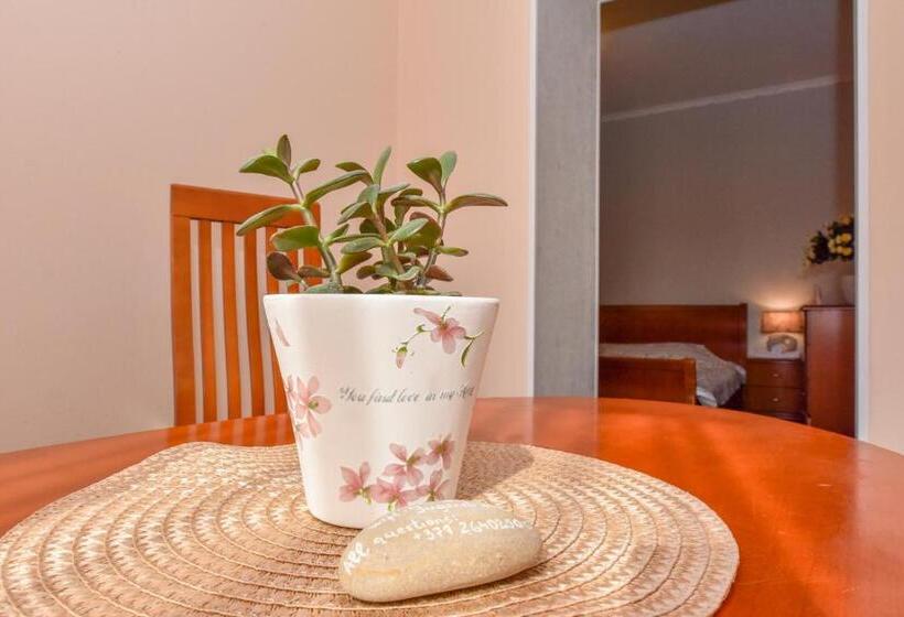 اتاق استاندارد سه نفره, Jugend With Self Check In