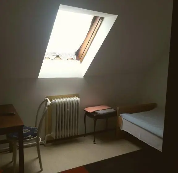 スタンダードシングルルーム, Apartmány Sedmikráska