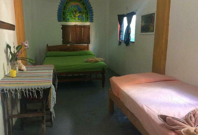 غرفة إقتصادية, Casa Gundi Y Tomas