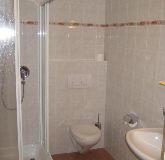 غرفة قياسية فردية, Garni Olympia