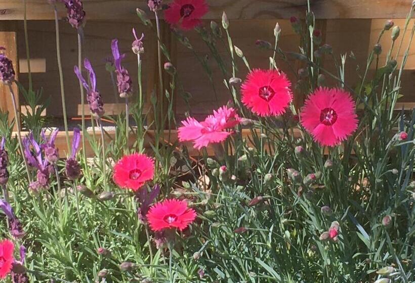 スイート(家族用), Le Relais Des Malettes Chambres D Hôtes B&b