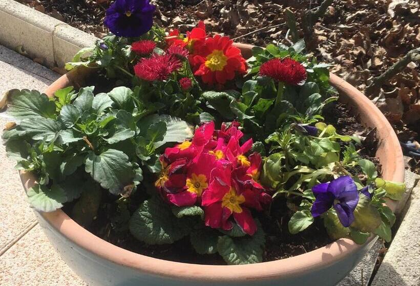 スイート(家族用), Le Relais Des Malettes Chambres D Hôtes B&b