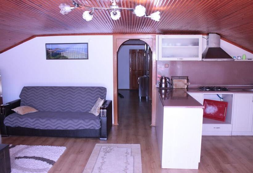 آپارتمان عادی 1 خوابه, Boztepe Apart