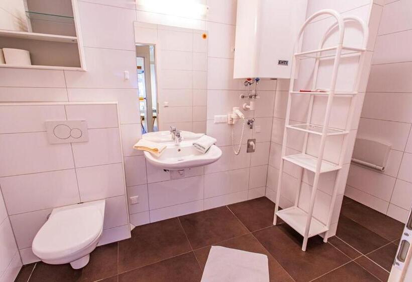 带露台的标准工作室, Landhaus Tritscher