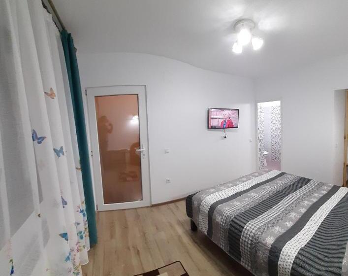 身障者適用スタンダードルーム, Pensiunea Sarah Bran