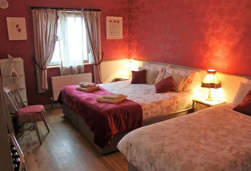 Standard-huone, Clifden Bay Lodge