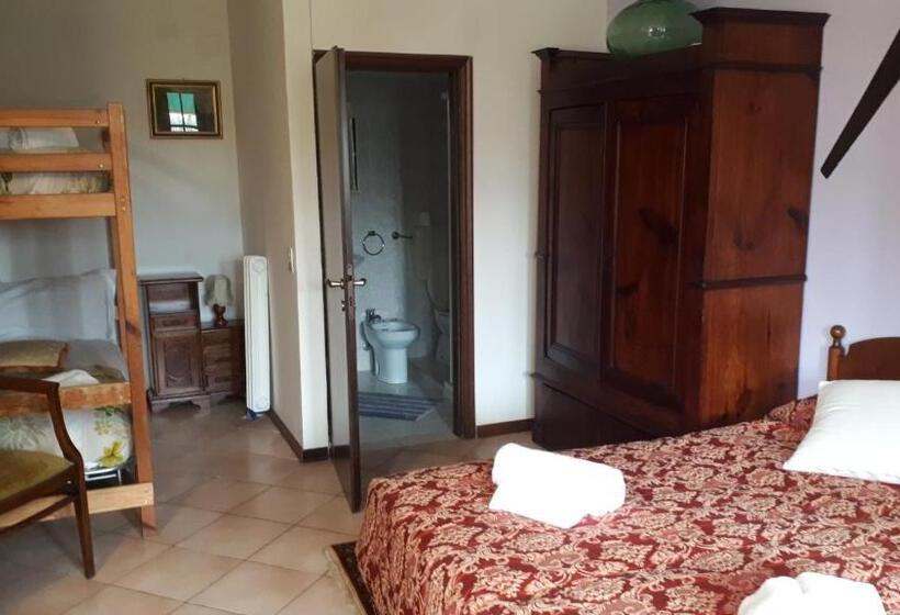 اتاق استاندارد چهار تخته, Biogarden