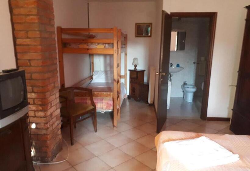 اتاق استاندارد چهار تخته, Biogarden