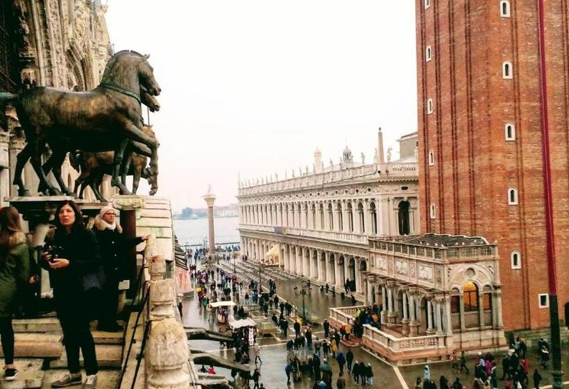 اتاق استاندارد چهار تخته, Biogarden