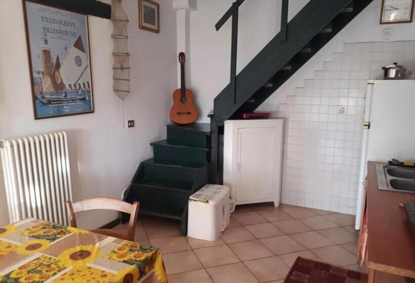 اتاق کلاسیک یک تخته, Biogarden