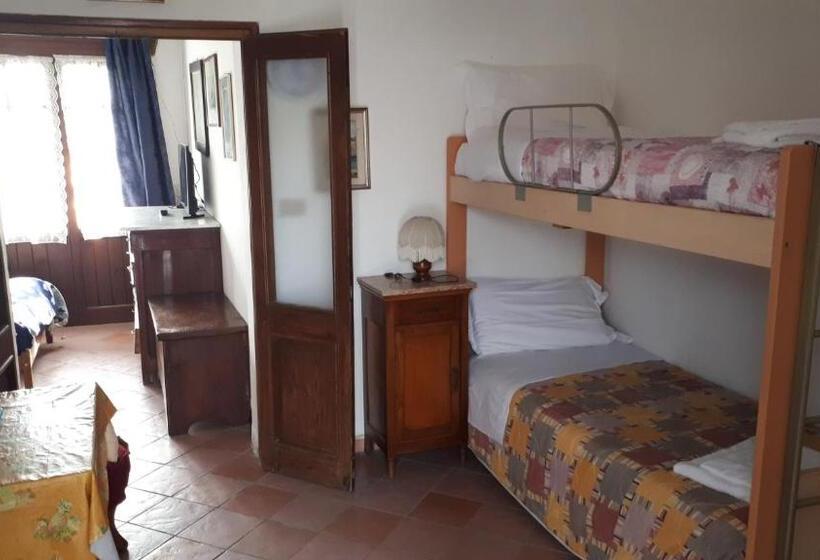 اتاق استاندارد, Biogarden